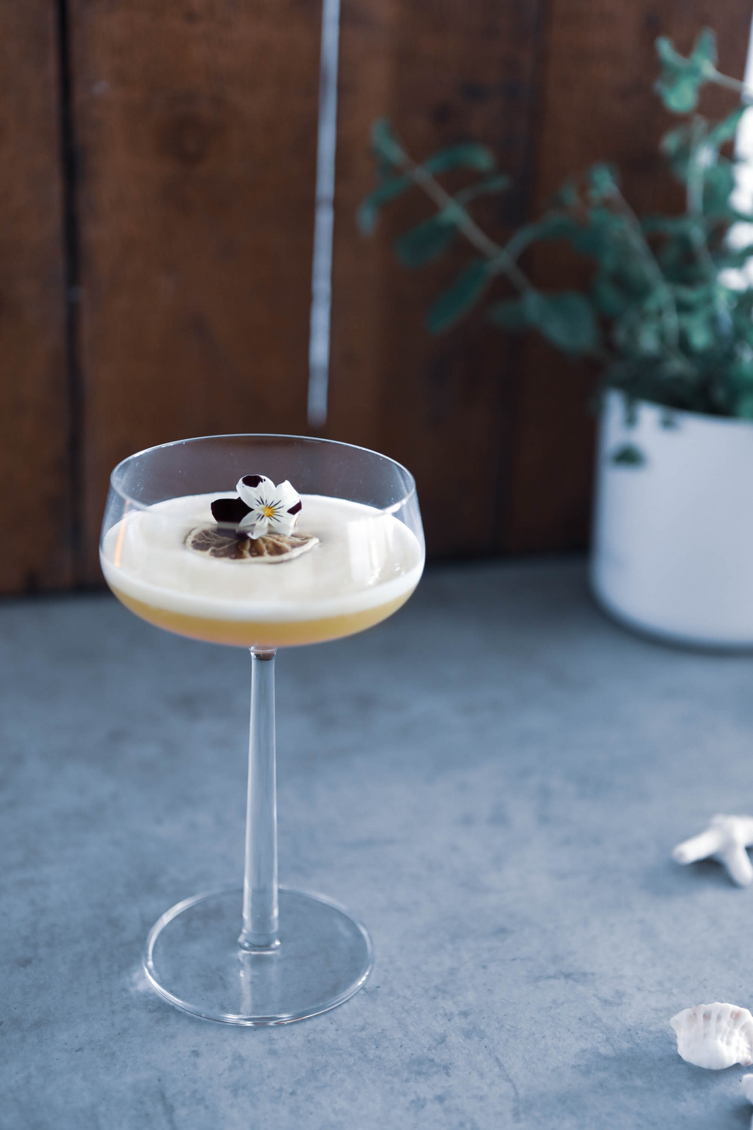 Tropical Gimber Sour