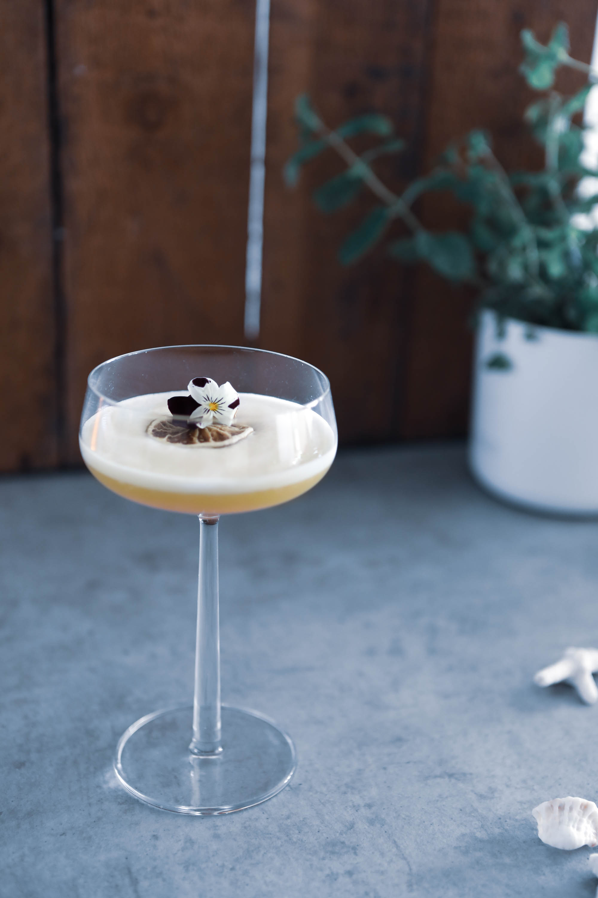 Tropical Gimber Sour